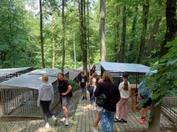 50647182211815172804428852494559730327956638n